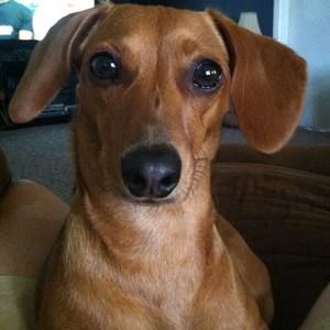 Meet your Posher, Karen